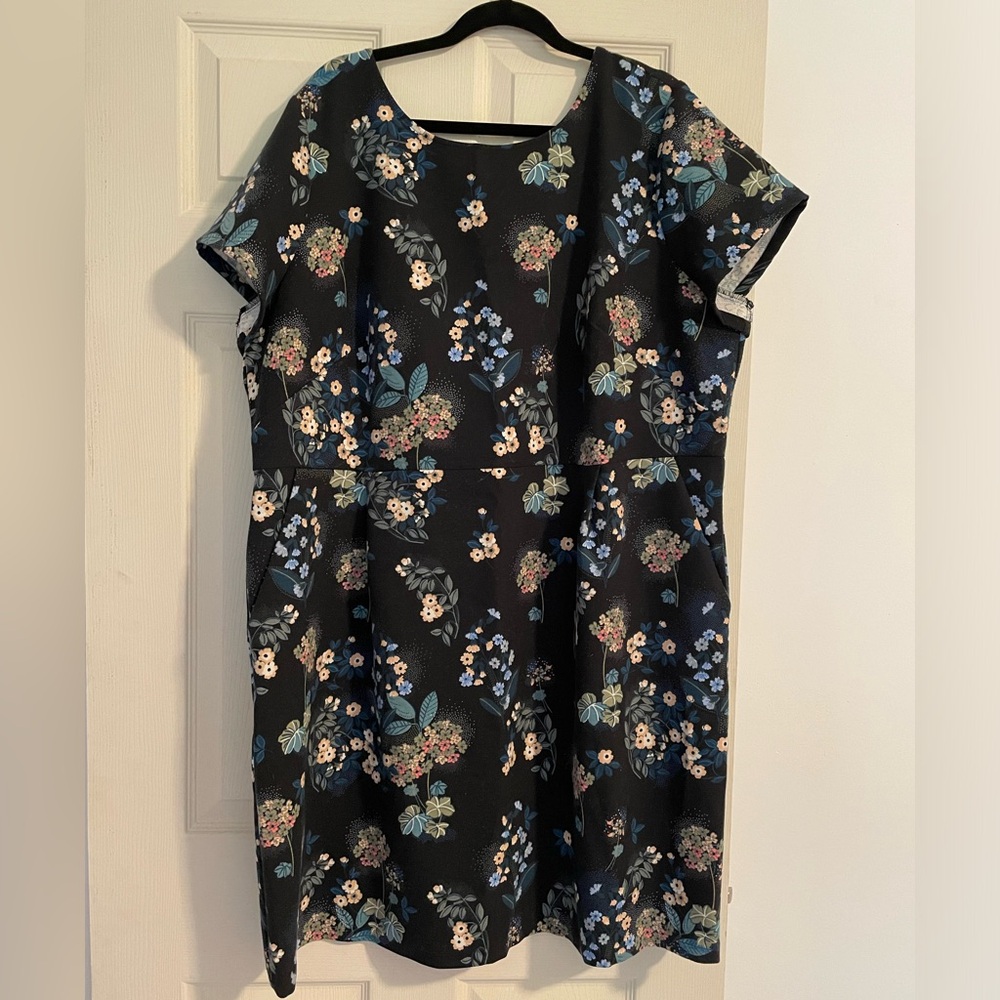 Loft Plus size 22 black short sleeve, zipper back dress